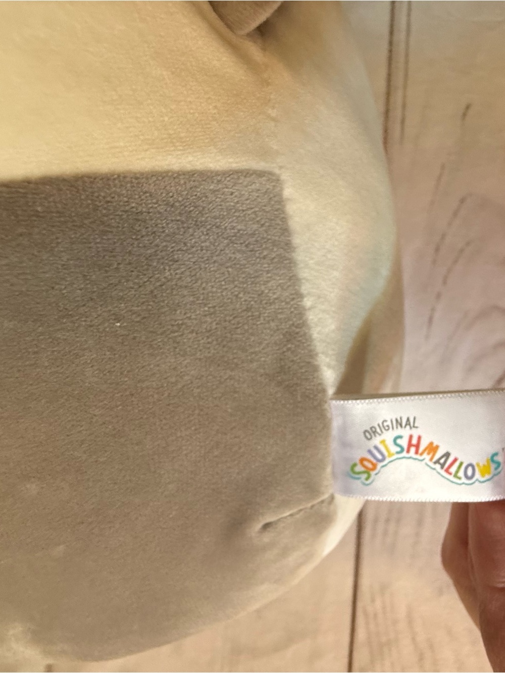 Squishmallow Camette The Cat 12 in - Picture 4 of 7